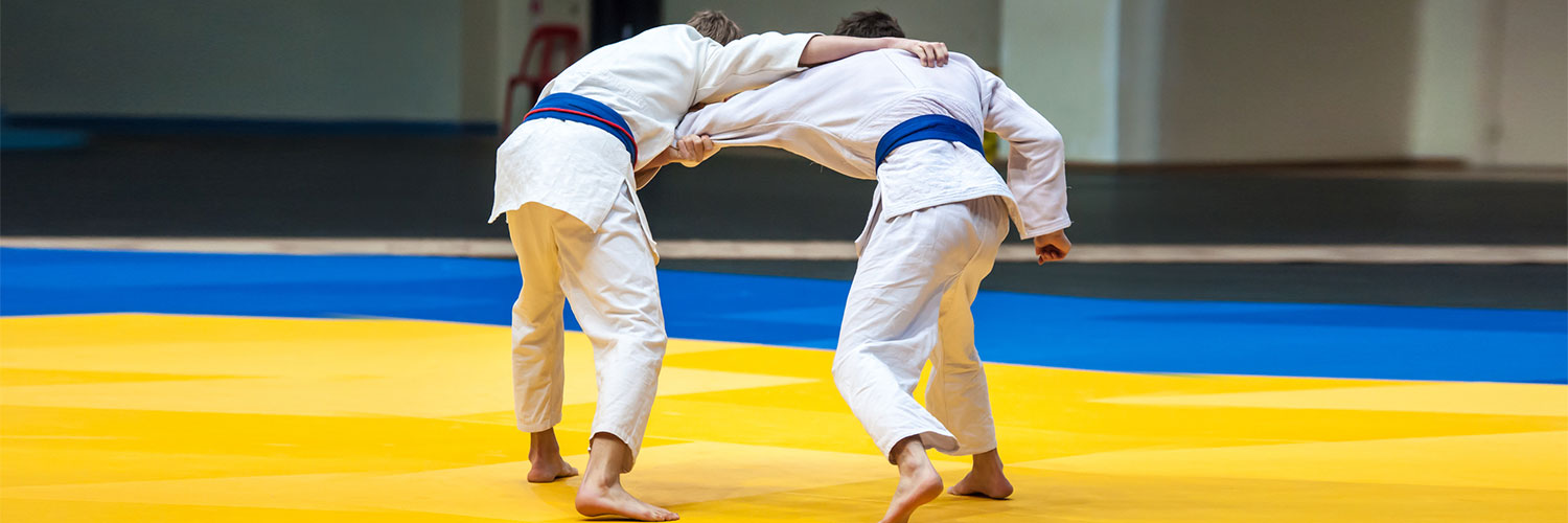 Judo Arts martiaux